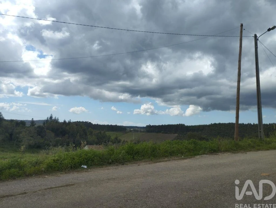 Terreno para Venda em Cadaval e Pêro Moniz Foto 24