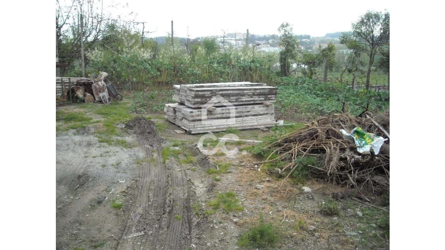 Terreno para Venda em Oliveira, São Paio e São Sebastião Foto 1