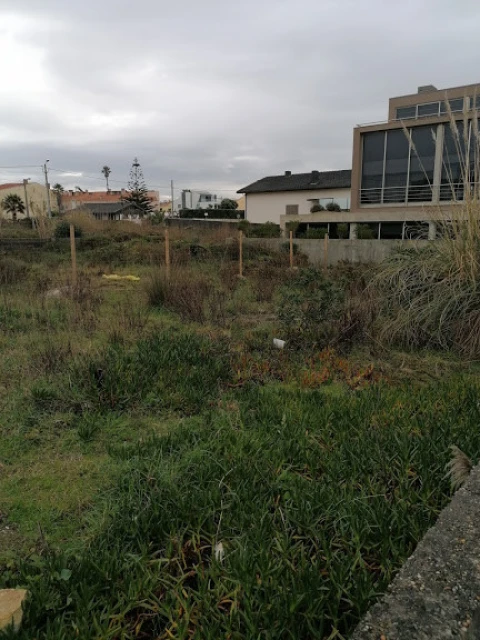 Terreno para Venda em Perafita, Lavra e Santa Cruz do Bispo