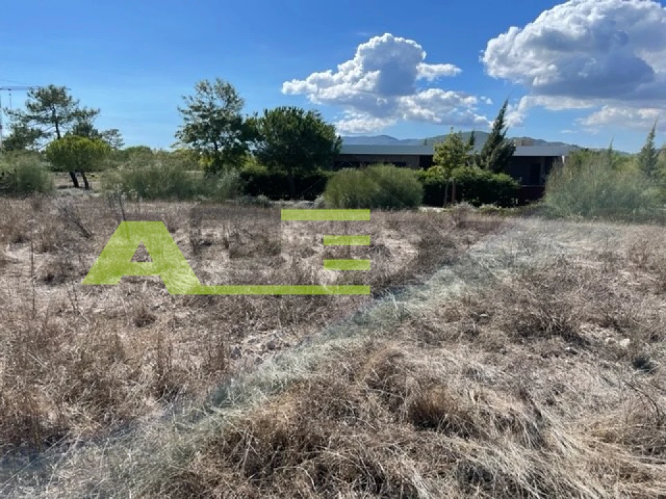 Terreno para Venda em Carvalhal Foto 5