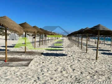 Terreno para Venda em Carvalhal