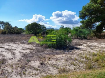 Terreno para Venda em Carvalhal