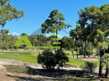 Terreno para Venda em Carvalhal