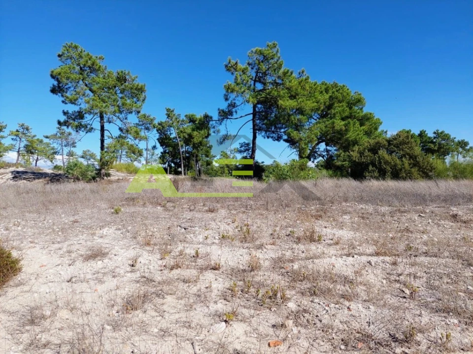 Terreno para Venda em Carvalhal Foto 7