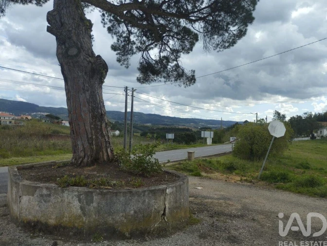 Moradia T3 para Venda em Cadaval e Pêro Moniz Foto 16