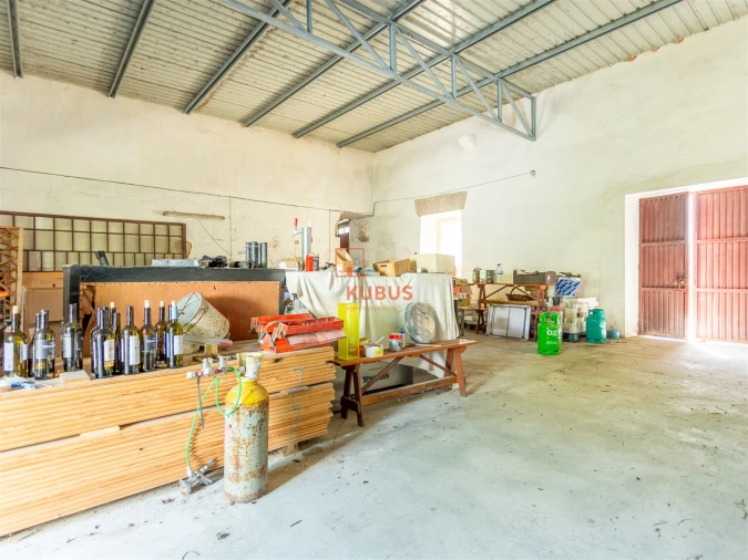 Armazém para Venda em Torres Novas (Santa Maria, Salvador e Santiago) Foto 4