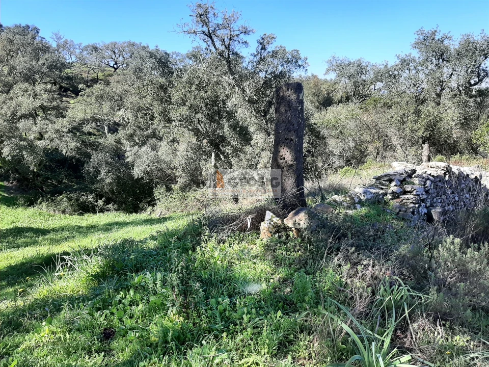 Terreno Agricola ou Rústico para Venda em São Barnabe Foto 3