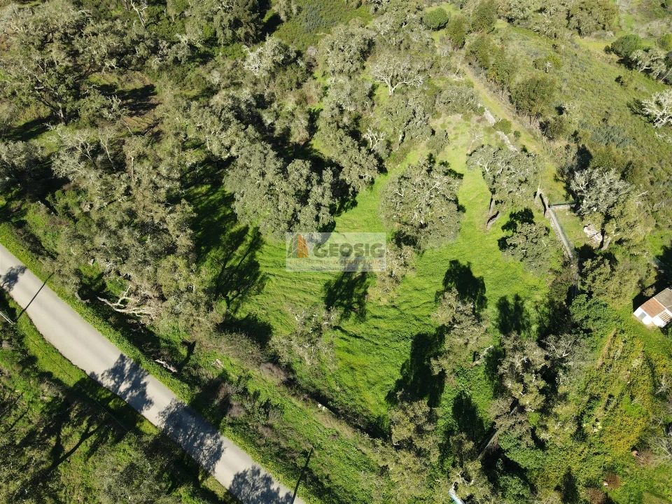 Terreno Agricola ou Rústico para Venda em São Barnabe Foto 6