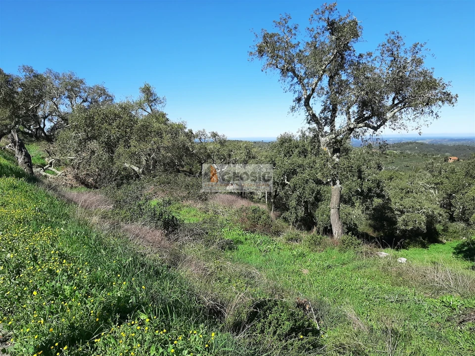 Terreno Agricola ou Rústico para Venda em São Barnabe Foto 2