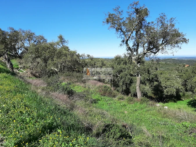 Terreno Agricola ou Rústico para Venda em São Barnabe Foto 2