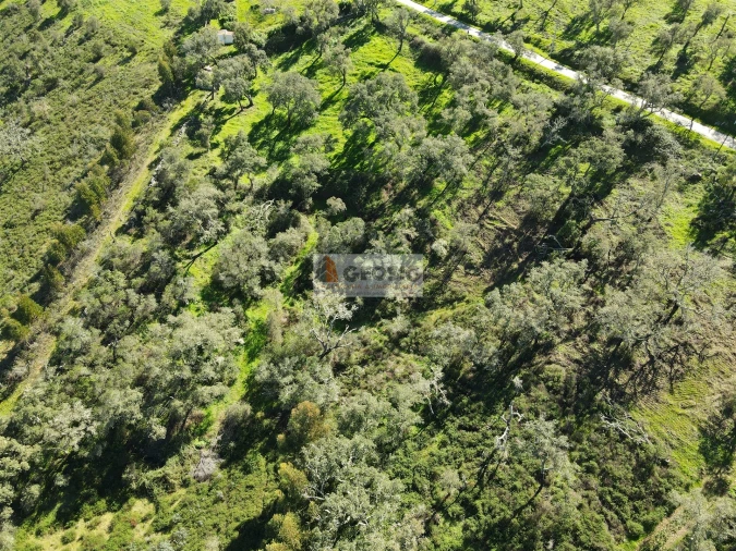 Terreno Agricola ou Rústico para Venda em São Barnabe Foto 5