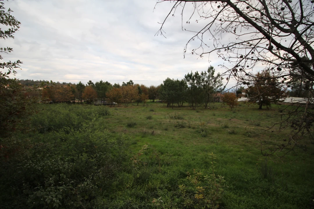 Terreno para Venda em Romãs, Decermilo e Vila Longa Foto 7