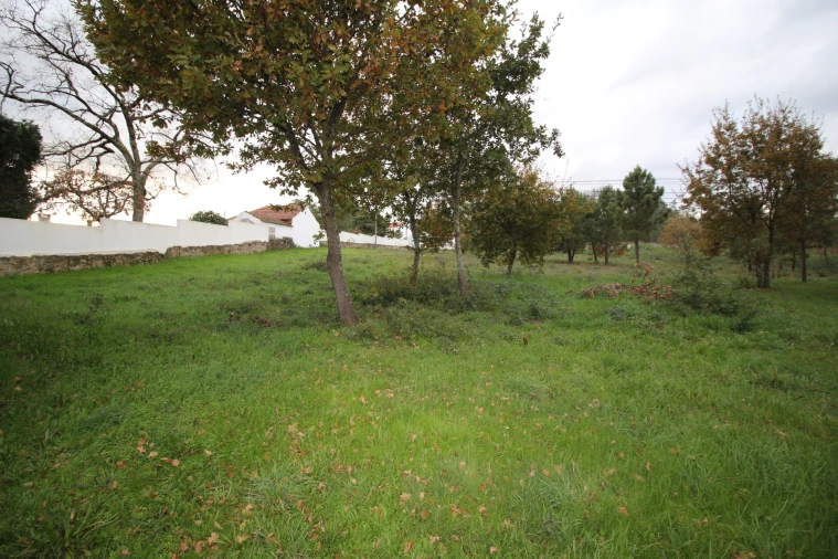 Terreno para Venda em Romãs, Decermilo e Vila Longa Foto 6