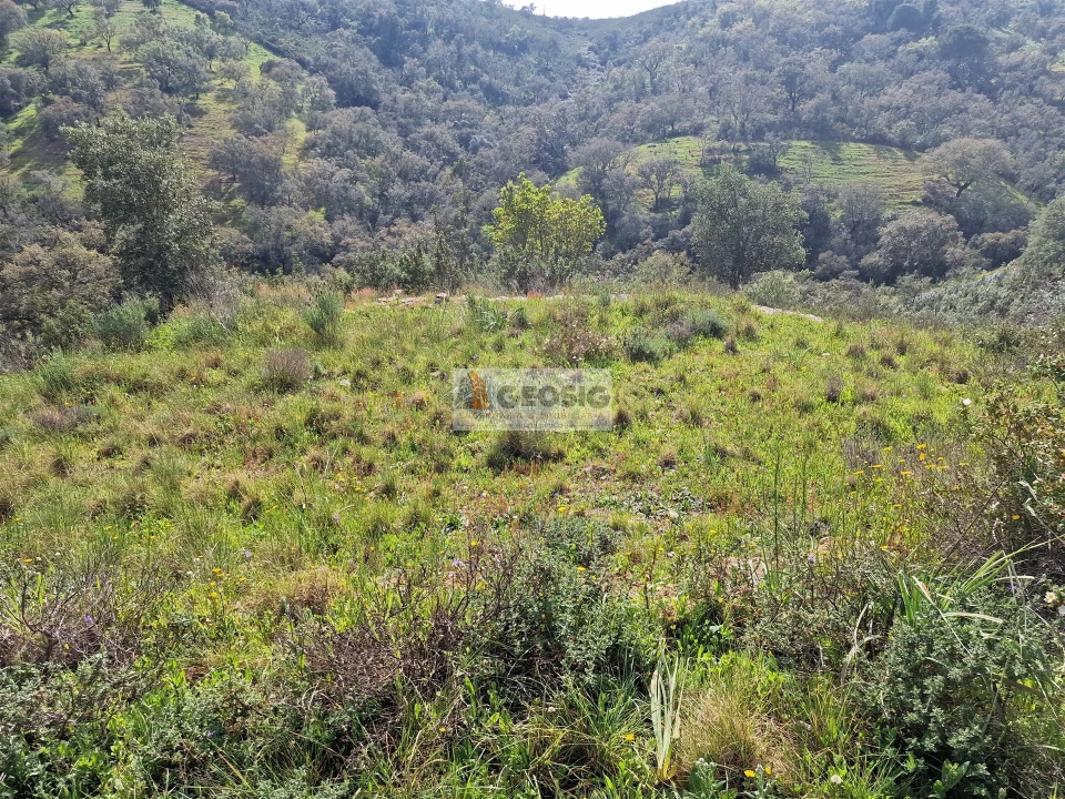 Quinta T2 para Venda em Santa Clara-A-Nova e Gomes Aires Foto 16