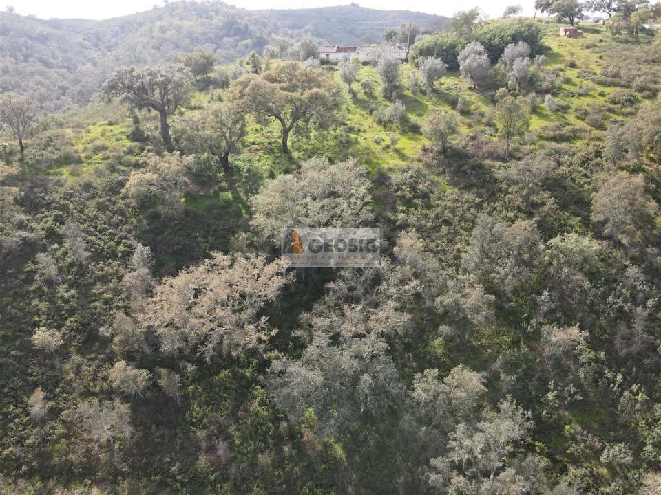 Quinta T2 para Venda em Santa Clara-A-Nova e Gomes Aires Foto 38