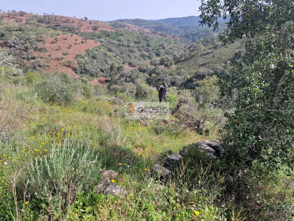 Quinta T2 para Venda em Santa Clara-A-Nova e Gomes Aires Foto 19