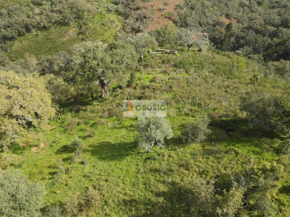 Quinta T2 para Venda em Santa Clara-A-Nova e Gomes Aires Foto 29