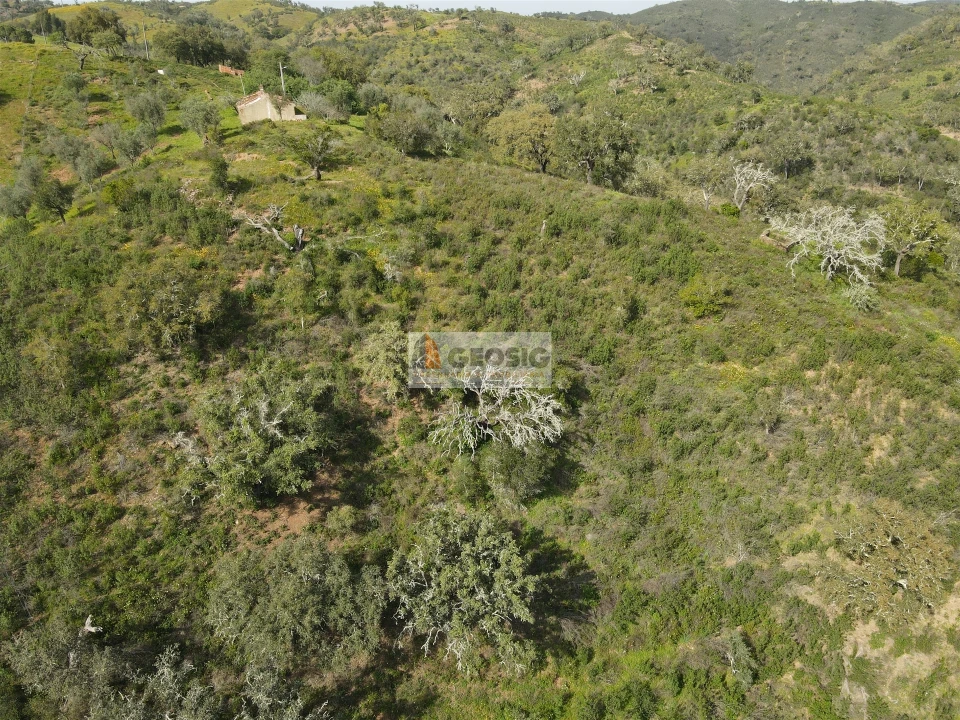 Quinta T2 para Venda em Santa Clara-A-Nova e Gomes Aires Foto 33