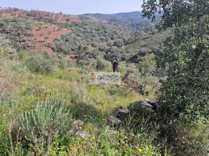 Quinta T2 para Venda em Santa Clara-A-Nova e Gomes Aires Foto 19