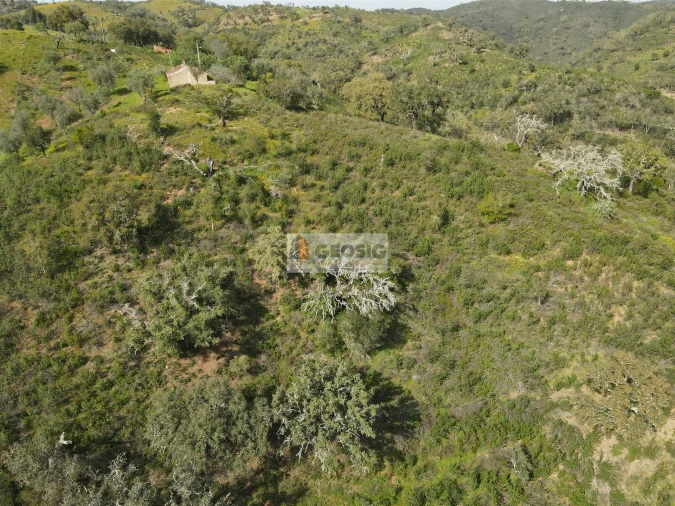 Quinta T2 para Venda em Santa Clara-A-Nova e Gomes Aires Foto 33