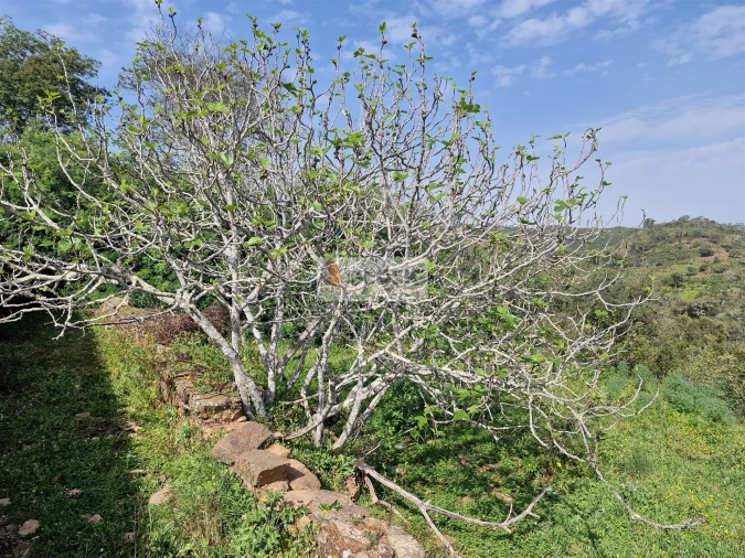 Quinta T2 para Venda em Santa Clara-A-Nova e Gomes Aires Foto 23