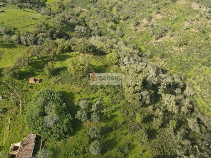 Quinta T2 para Venda em Santa Clara-A-Nova e Gomes Aires Foto 40