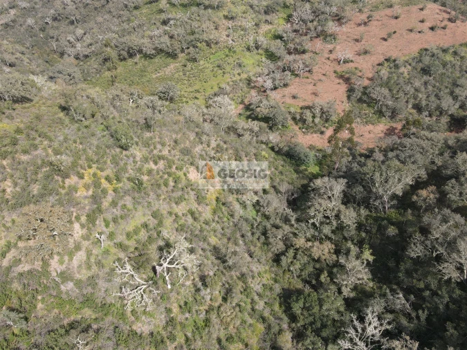 Quinta T2 para Venda em Santa Clara-A-Nova e Gomes Aires Foto 32