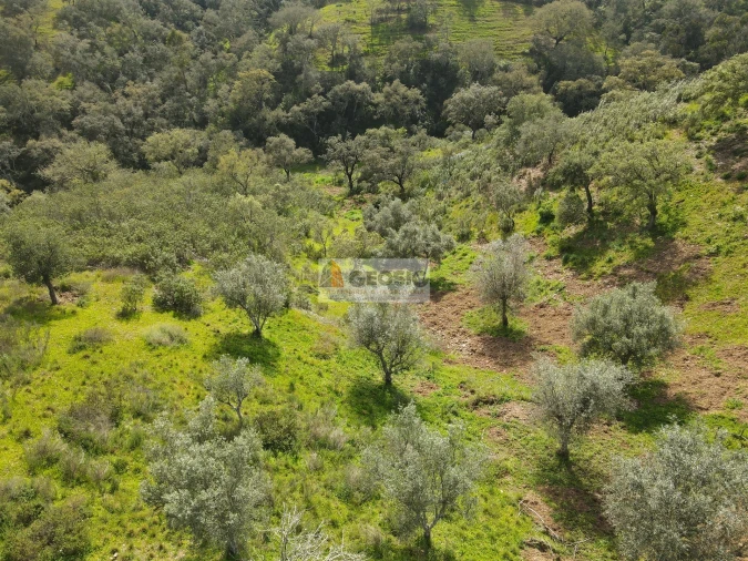 Quinta T2 para Venda em Santa Clara-A-Nova e Gomes Aires Foto 31