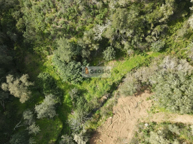 Quinta T2 para Venda em Santa Clara-A-Nova e Gomes Aires Foto 36