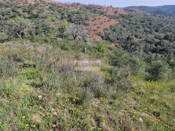 Quinta T2 para Venda em Santa Clara-A-Nova e Gomes Aires Foto 20