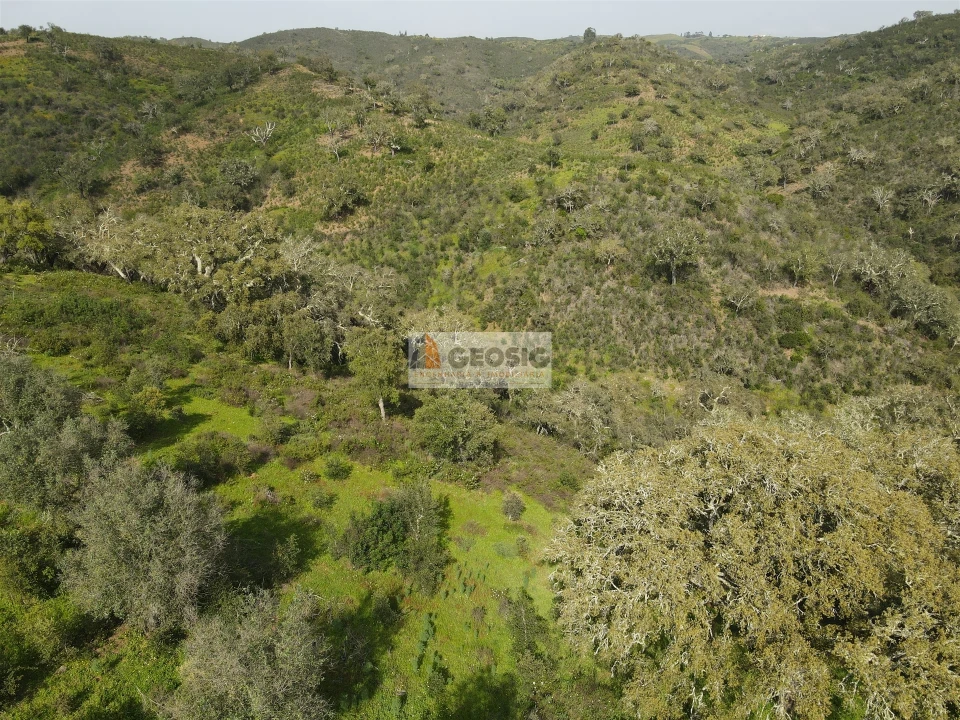 Quinta T2 para Venda em Santa Clara-A-Nova e Gomes Aires Foto 30