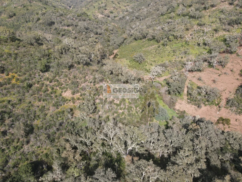 Quinta T2 para Venda em Santa Clara-A-Nova e Gomes Aires Foto 34