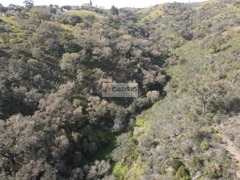 Quinta T2 para Venda em Santa Clara-A-Nova e Gomes Aires Foto 37