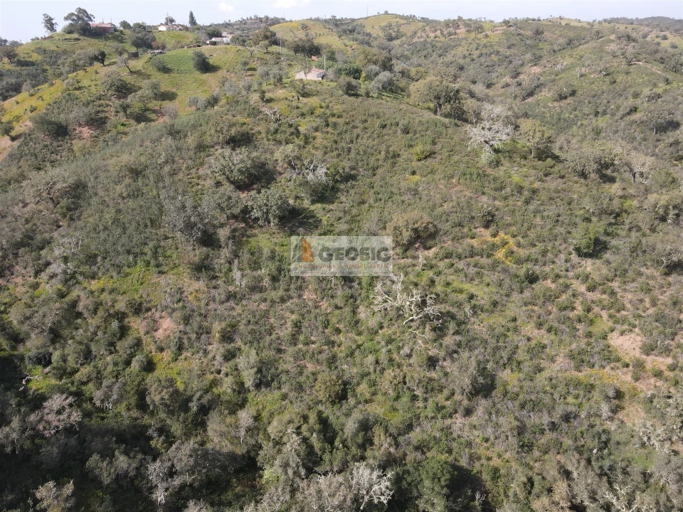 Quinta T2 para Venda em Santa Clara-A-Nova e Gomes Aires Foto 35