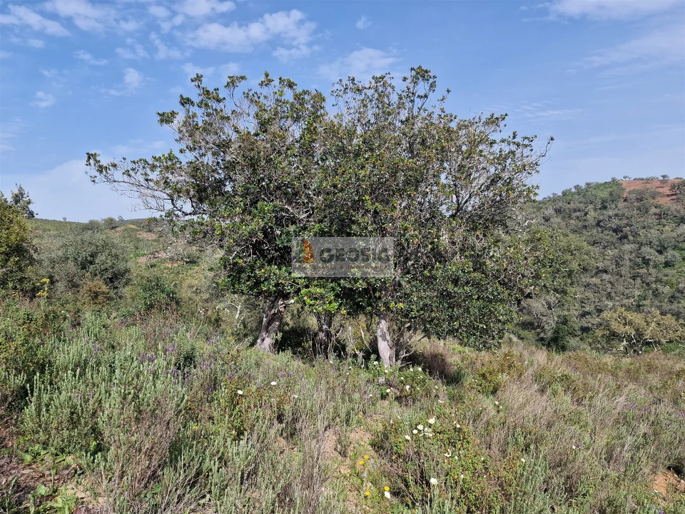 Quinta T2 para Venda em Santa Clara-A-Nova e Gomes Aires Foto 21