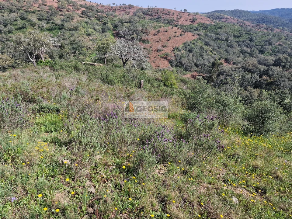 Quinta T2 para Venda em Santa Clara-A-Nova e Gomes Aires Foto 20