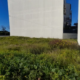 Terreno para Venda em Castelo Branco