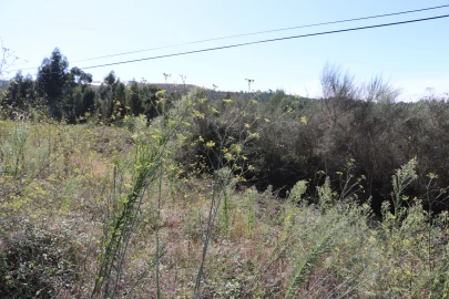 Terreno para Venda em Lustosa e Barrosas (Santo Estêvão)