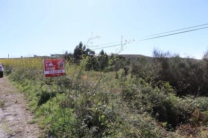 Terreno para Venda em Lustosa e Barrosas (Santo Estêvão)