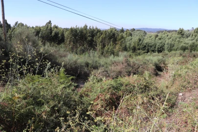 Terreno para Venda em Lustosa e Barrosas (Santo Estêvão)