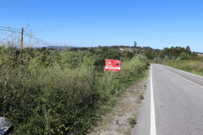 Terreno para Venda em Lustosa e Barrosas (Santo Estêvão)