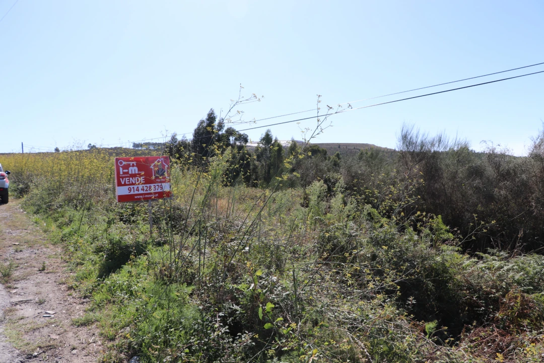 Terreno para Venda em Lustosa e Barrosas (Santo Estêvão) Foto 5