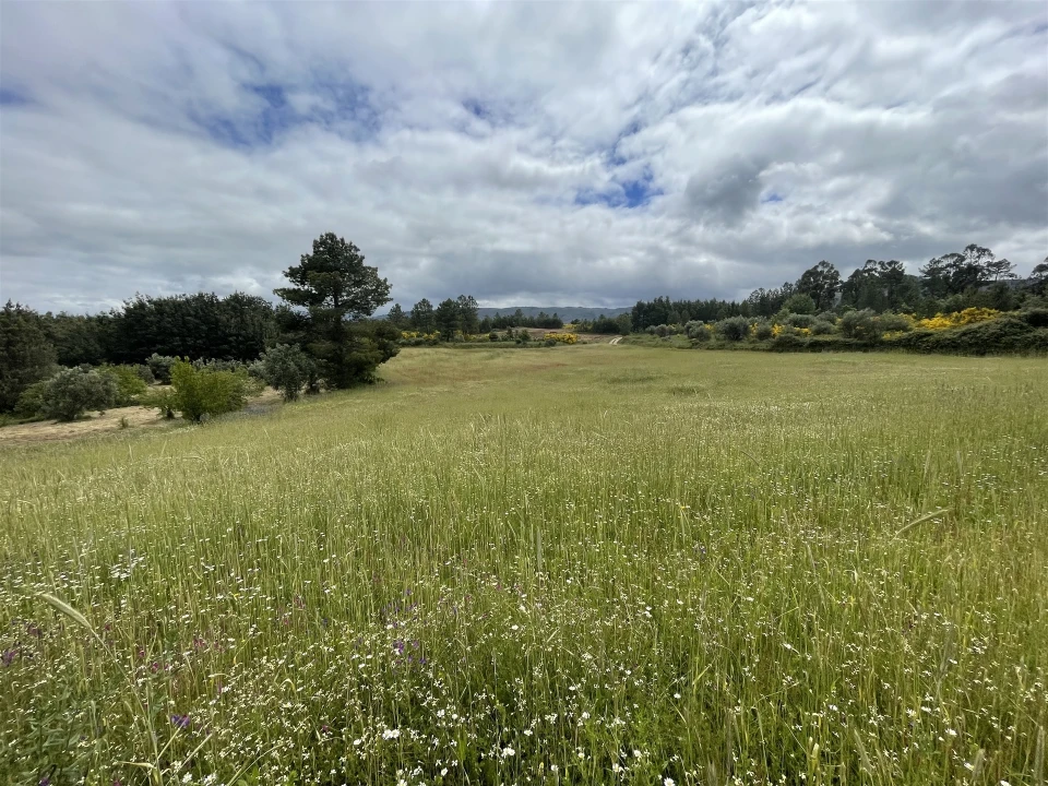Quinta T0 para Venda em Vila Cortes da Serra Foto 10