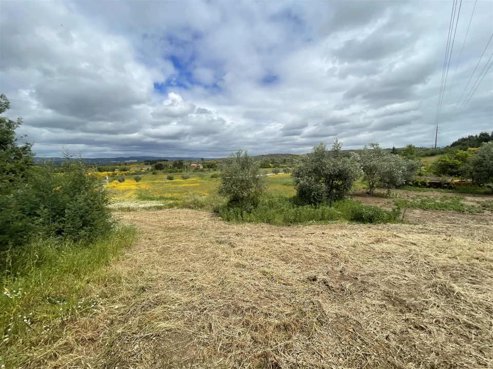 Quinta T0 para Venda em Vila Cortes da Serra Foto 12