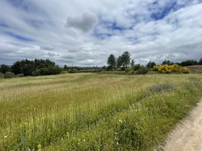 Quinta T0 para Venda em Vila Cortes da Serra Foto 13