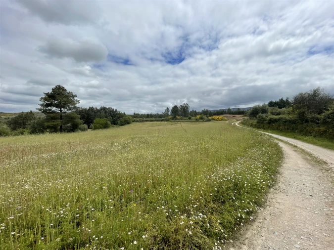 Quinta T0 para Venda em Vila Cortes da Serra Foto 9