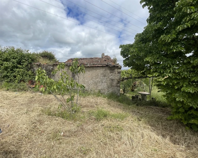Quinta T0 para Venda em Vila Cortes da Serra Foto 4