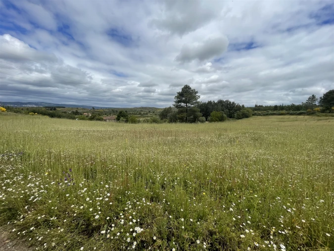 Quinta T0 para Venda em Vila Cortes da Serra Foto 8