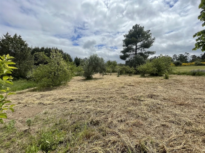 Quinta T0 para Venda em Vila Cortes da Serra Foto 11