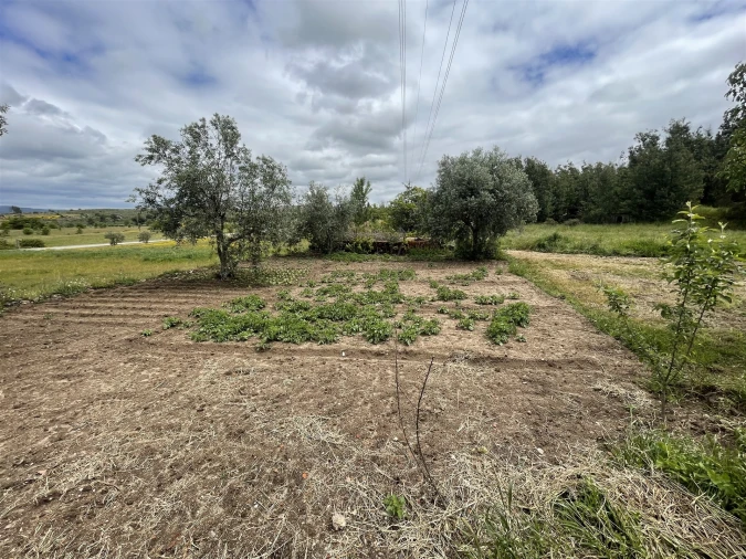 Quinta T0 para Venda em Vila Cortes da Serra Foto 14